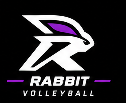 Rabby Volleyball