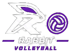 Rabby Volleyball