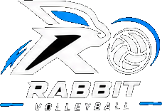 Rabby Volleyball secondary logo